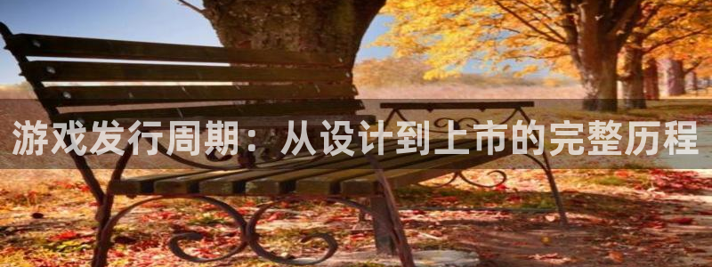 广东im电竞电子科技有限公司：游戏发行周期：从设计到上市的完整历程