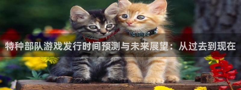 im电竞装饰：特种部队游戏发行时间预测与未来展望：从过去到现在
