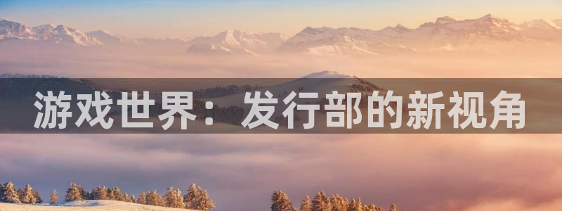 im电竞智得官网：游戏世界：发行部的新视角