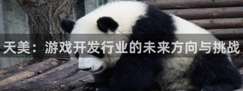 陕西im电竞子文化创意有限公司有什么游戏：天美：游戏开发行业的未来方向与挑战