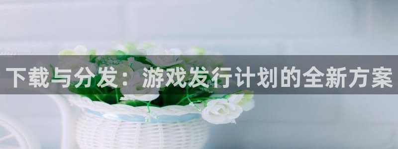 深圳im电竞电商：下载与分发：游戏发行计划的全新方案