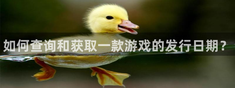 im电竞官网代理注册：如何查询和获取一款游戏的发行日期？