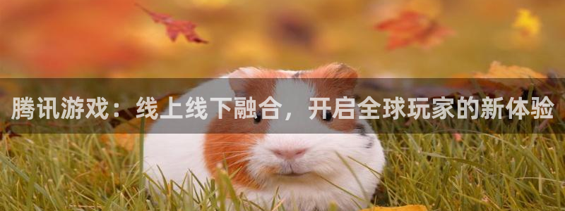 im电竞官网注册平台是什么软件：腾讯游戏：线上线下融合，开启全球玩家的新体验