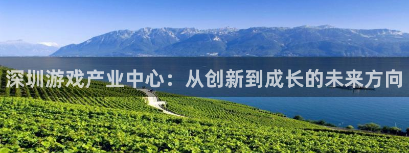 im电竞官网注册平台官网：深圳游戏产业中心：从创新到成长的未来方向