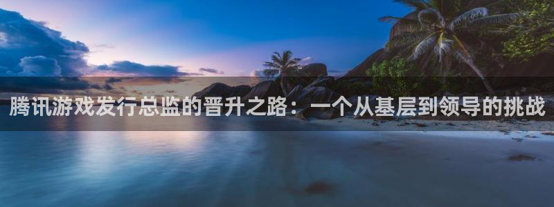 im电竞子经理人杂志：腾讯游戏发行总监的晋升之路：一个从基层到领导的挑战