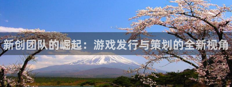 im电竞子书店：新创团队的崛起：游戏发行与策划的全新视角