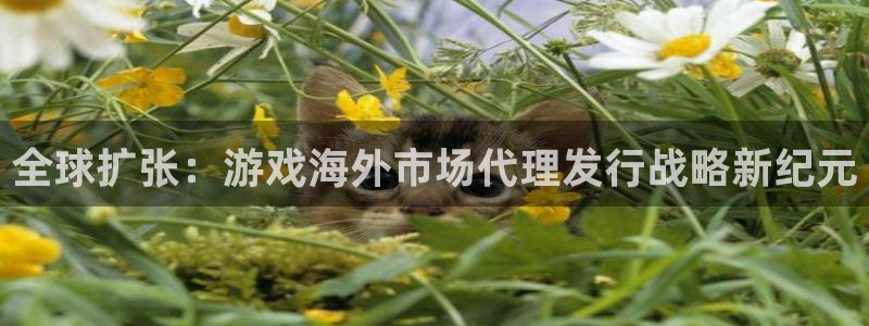 im电竞官网平台代理开号是真的吗：全球扩张：游戏海外市场代理发行战略新纪元