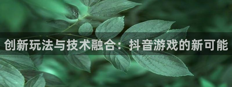 法国im电竞lvnces是奢侈品吗