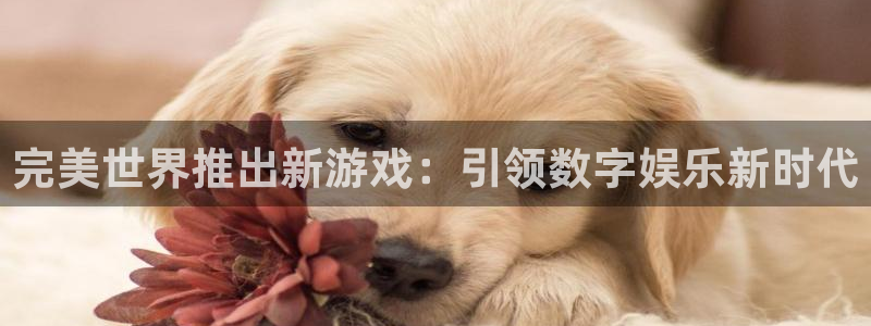 im电竞服装品牌：完美世界推出新游戏：引领数字娱乐新时代