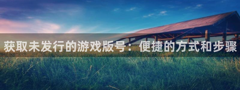 江苏im电竞人力资源有限公司怎么样：获取未发行的游戏版号：便捷的方式和步骤