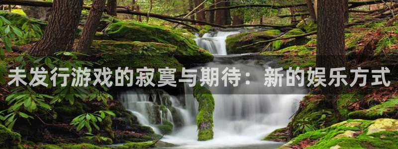 im电竞子上市了吗：未发行游戏的寂寞与期待：新的娱乐方式