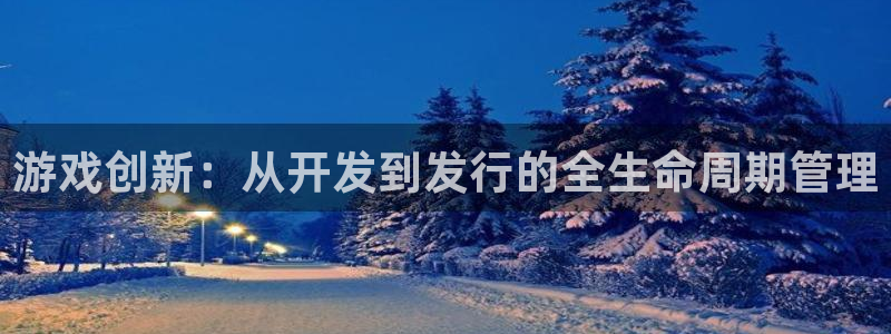 im电竞官网登录注册账号失败怎么办：游戏创新：从开发到发行的全生命周期管理