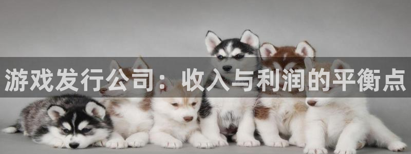im电竞官网注册地址在哪里查询：游戏发行公司：收入与利润的平衡点