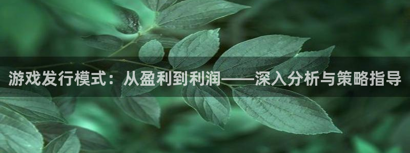 im电竞官网官网注册账号怎么注册：游戏发行模式：从盈利到利润——深入分析与策略指导