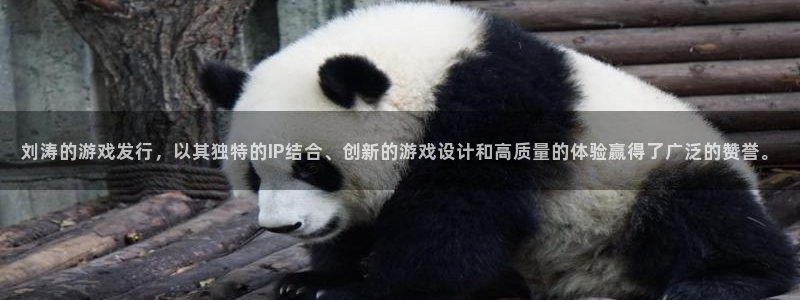 im电竞子年度最佳图书：刘涛的游戏发行，以其独特的IP结合、创新的游戏设计和高质量的体验赢得了广泛的赞誉。