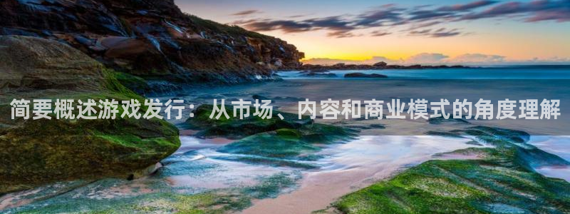 im电竞子经理人