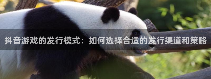 im电竞官网注册平台是什么：抖音游戏的发行模式：如何选择合适的发行渠道和策略