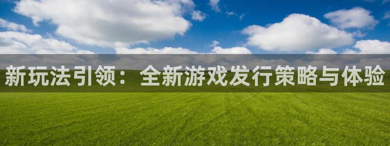 im电竞官网挂机项目怎么样啊