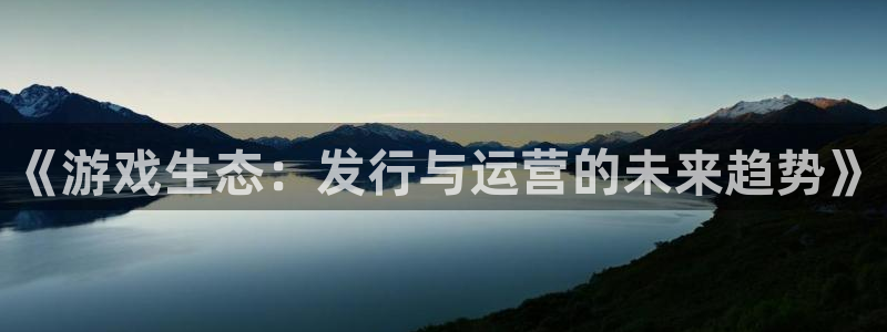 陕西im电竞子文化创意是干什么的：《游戏生态：发行与运营的未来趋势》