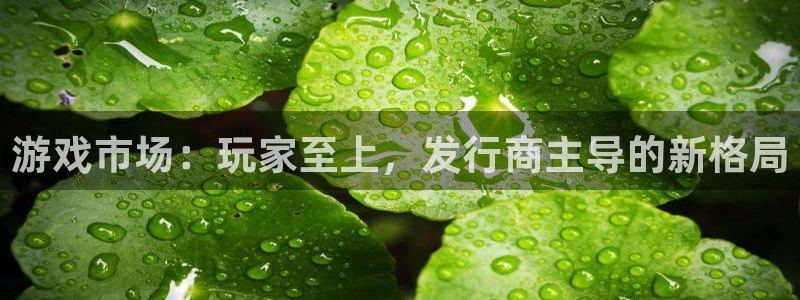 im电竞官网注册登录：游戏市场：玩家至上，发行商主导的新格局