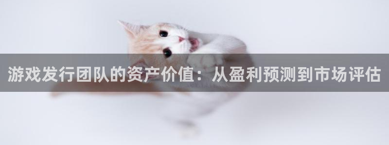 im电竞装饰：游戏发行团队的资产价值：从盈利预测到市场评估