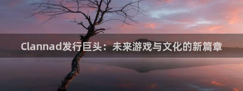 广东im电竞电子科技有限公司 联系电话：Clannad发行巨头：未来游戏与文化的新篇章