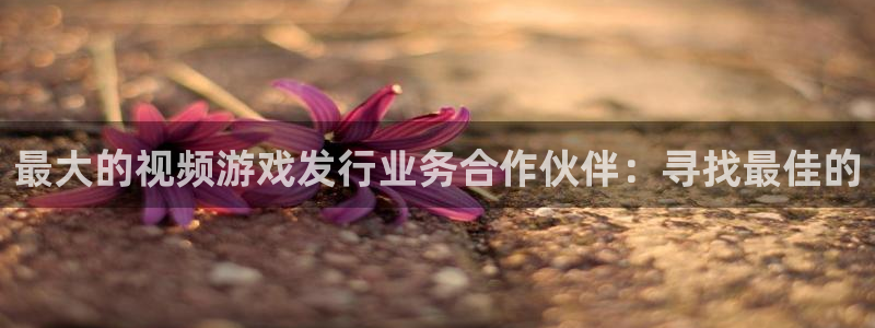 广东im电竞营销策划有限公司