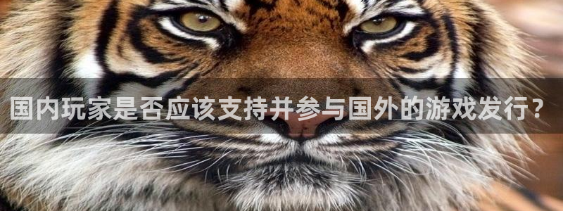 im电竞军团是哪个国家队