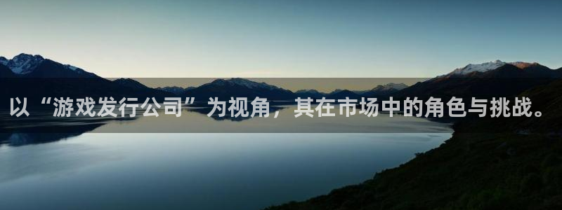 佛山im电竞：以“游戏发行公司”为视角，其在市场中的角色与挑战。