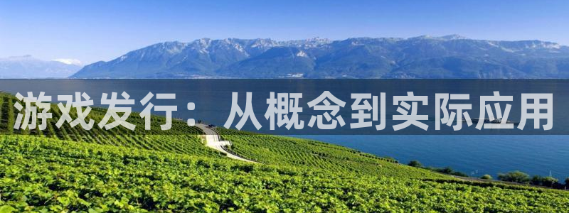 im电竞子文化是干嘛的