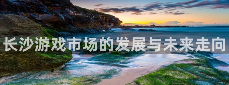 南京im电竞子电子商务有限公司